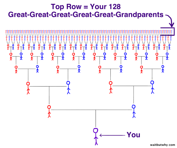 Big Family Tree from you to your 128 great-great-great-great-great-grandparents